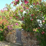 Ciprea *