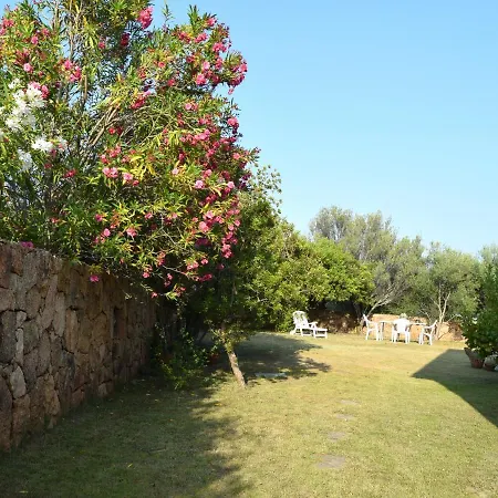 Holiday home Ciprea Pittulongu