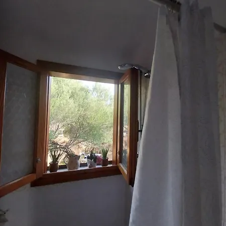 Feriehus Ciprea Pittulongu