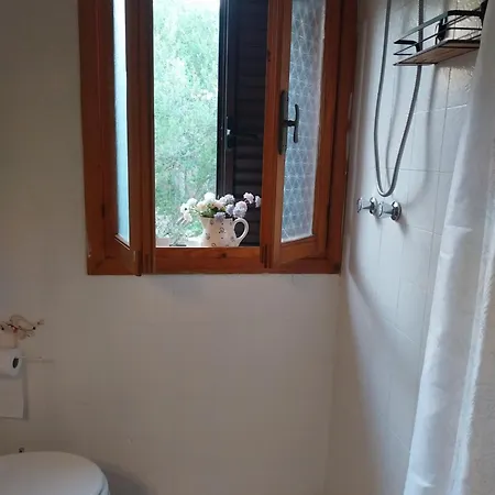 Ciprea Pittulongu