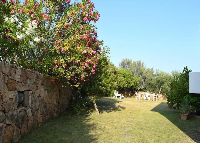 Semesterbostad Ciprea Pittulongu