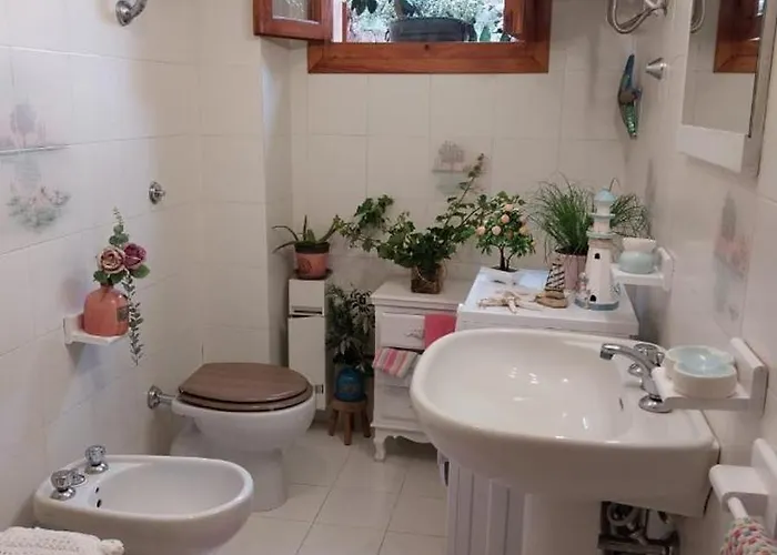 Ciprea Semesterbostad Pittulongu