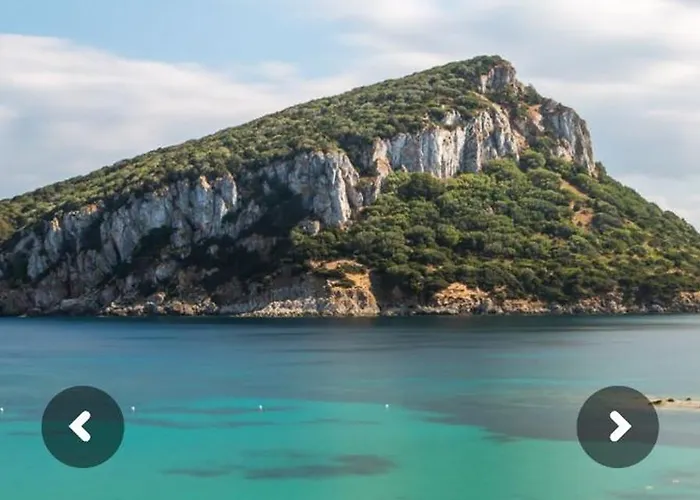 Semesterbostad Ciprea